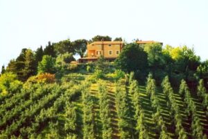 Agriturismo Casale di Colle