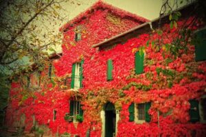 Agriturismo CASANUOVA – Fattoria Didattica – Azienda Agricola Biologica CIN: IT034039B5EQ6QT5YH