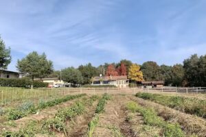 Agriturismo Cascina del Poggio