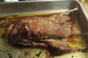 Agriturismo cascina rivierina