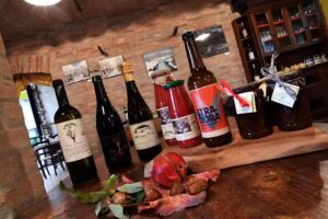 Agriturismo Casone di sotto