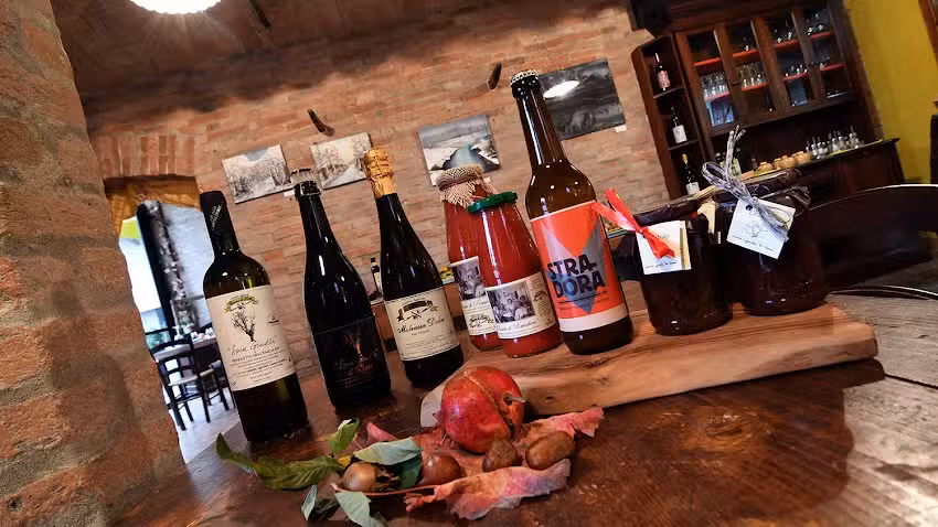 Agriturismo Casone di sotto