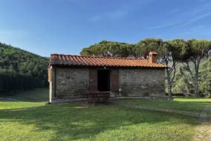 Agriturismo Cerreto di Sestini Natale