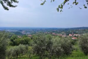 Agriturismo Collalto