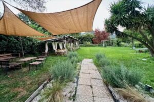 Agriturismo Colle Maiano