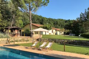 Agriturismo con PISCINA “Sotto il Colle” – PRODUZIONE olio extavergine d’oliva – CEREALI e SPEZIE – Assisi