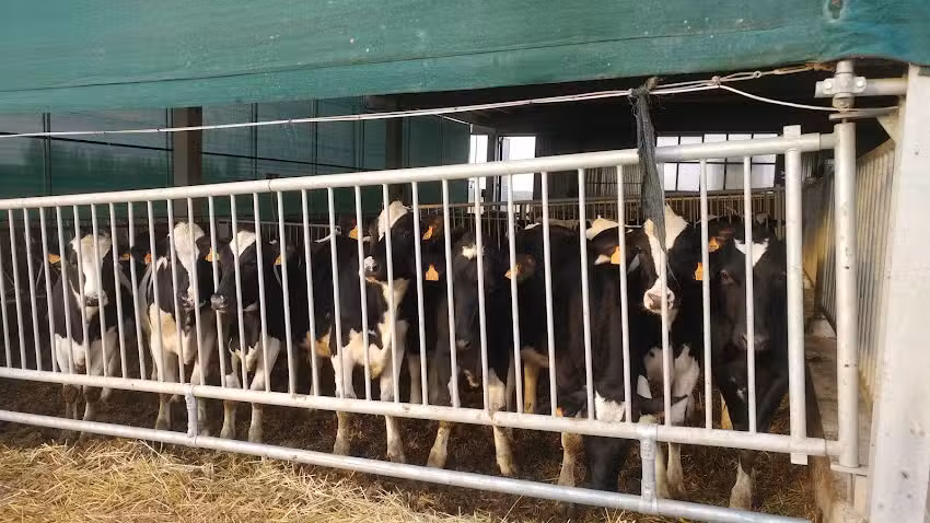 Agriturismo Corte Fabbrica