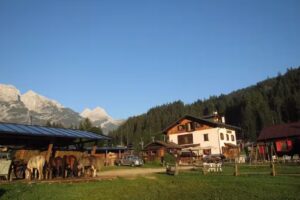 Agriturismo Corte’s Ranch