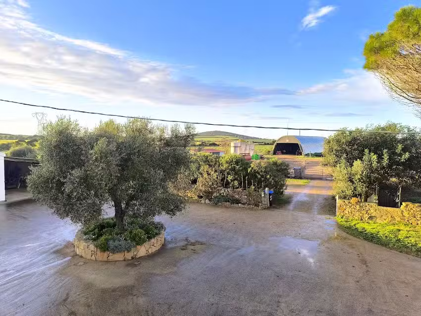 Agriturismo Cuile de Molino