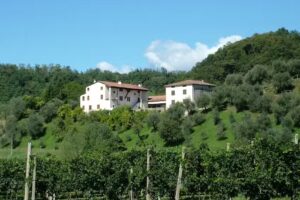 Agriturismo Da Pion