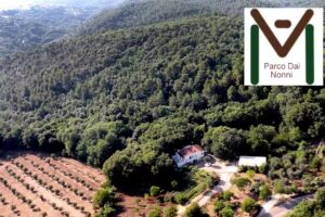 Agriturismo dai Nonni
