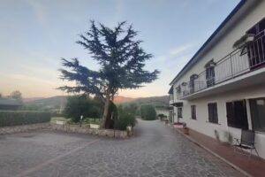 Agriturismo dei girasoli