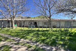 Agriturismo “Donna Cettina” – Az. Agr. Le Nostre Terre