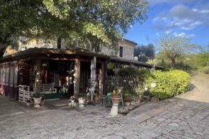 Agriturismo e Agrispa Di Fiore