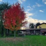 Agriturismo e Cantina Il Gualdo di Sotto