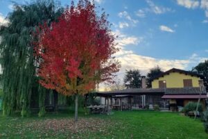 Agriturismo e Cantina Il Gualdo di Sotto