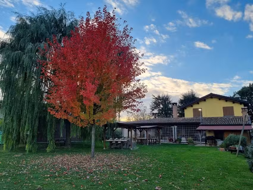 Agriturismo e Cantina Il Gualdo di Sotto