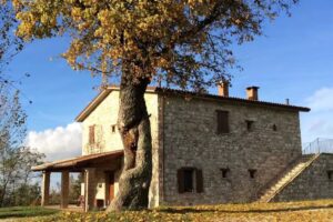 Agriturismo e Fattoria Biologica L’A Ceccoli