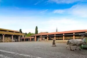 Agriturismo Fattoria Bigongiari