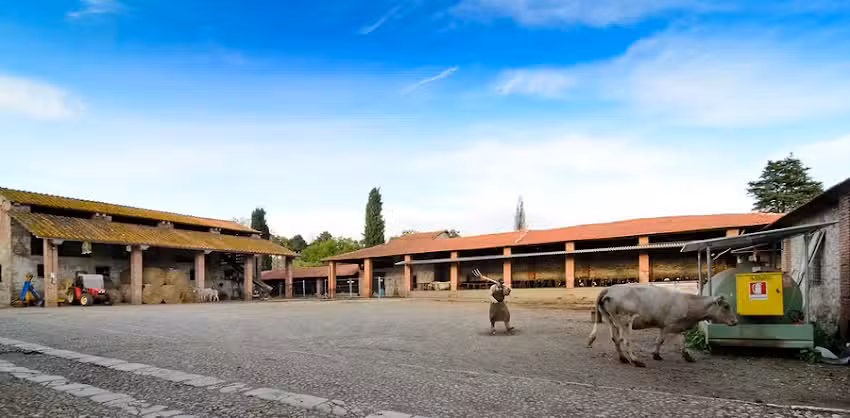 Agriturismo Fattoria Bigongiari