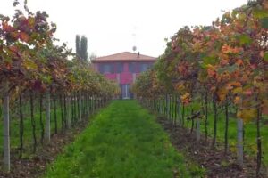 Agriturismo Fondo Gesù