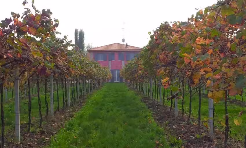 Agriturismo Fondo Gesù