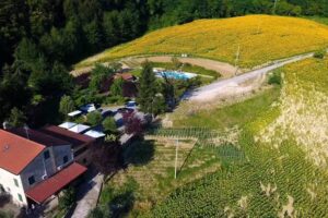 Agriturismo Fonte di S. Andrea