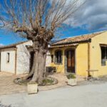 Agriturismo “Gli Aranci dell’Etna”