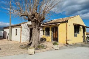 Agriturismo “Gli Aranci dell’Etna”