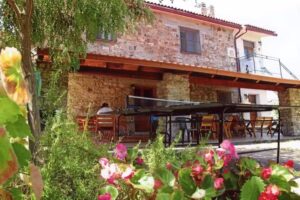 AGRITURISMO GRASSETTI