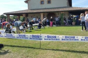 Agriturismo Greppa Bovi