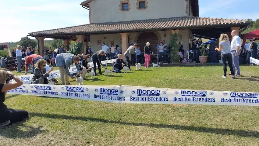 Agriturismo Greppa Bovi