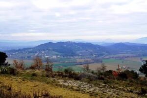 Agriturismo Grepposalvigno