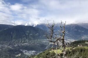 Agriturismo Gruberhof