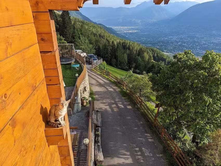 Agriturismo Holznerhof