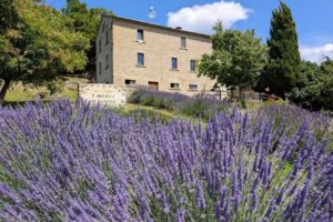 Agriturismo I Monti di Salecchio