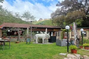 AGRITURISMO “IL BIANCHETTO”