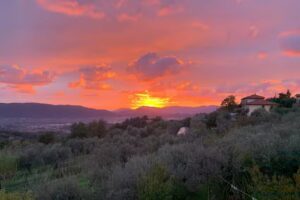 Agriturismo il Borghetto