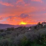 Agriturismo il Borghetto