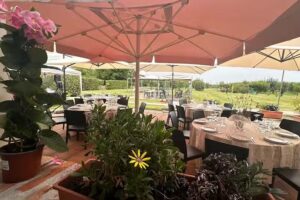 AGRITURISMO IL BORGHETTO