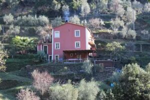 Agriturismo Il Brucaolivo – Monterosso al Mare Cinque Terre Liguria