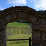 Agriturismo Il Caggio