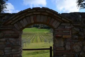 Agriturismo Il Caggio