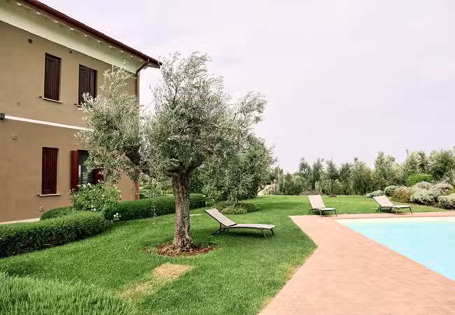 Agriturismo Il Casale degli Ulivi