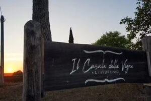 Agriturismo il casale delle Vigne