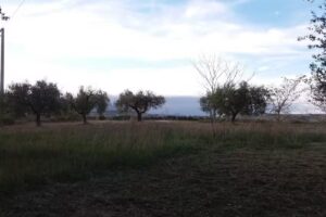 Agriturismo Il Cascinale