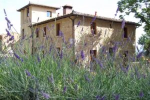 Agriturismo Il Castagnolino