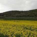 Agriturismo Il Colle