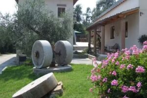 Agriturismo Il Colle del Sole