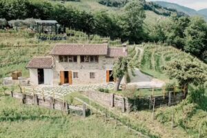 Agriturismo Il Conte Vassallo